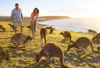 Australie du Sud 
Kangaroo Island