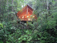 Australie - Queensland - Atherton Tablelands - The Canopy Rainforest Treehouses
