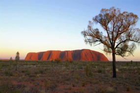 Australie - Northern Territory - Safari camping Centre Rouge - Uluru