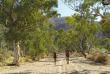 Australie - Northern Territory - Randonnée sur la Larapinta Trail