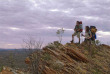 Australie - Northern Territory - Randonnée sur la Larapinta Trail