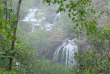 Australie - Northern Territory - Excursion au parc de Litchfield - Florence Falls © Tourism NT