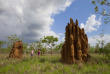Australie - Northern Territory - Safari Explore Kakadu & Beyond - Parc national de Kakadu © Peter Eve