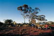 Australie - Circuit Outback Way - Western Australia - A la recherche d'or