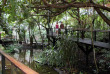 Australie - Queensland - Cape Tribulation - Ferntree Rainforest Lodge - Activités