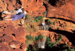Australie - Circuit Best of de l'Australie - Kings Canyon © Tourism Australia