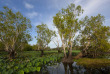 Australie - Northern Territory - Yellow Water, Kakadu National Park © Tourism NT