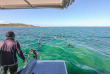Australie - Hervey Bay - Hervey Bay Eco Marine Tours - Excursion Turtle Discovery tour