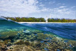 Australie - Queensland - Lady Elliot Island - Le récif © Tourism & Events Queensland