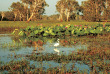 Australie - Territoire du Nord - Parc national de Kakadu - Yellow Water