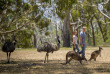 Australie - Adelaide - PureSa Tours - Randonnée à Mount Lofty et visite du parc animalier de Cleland