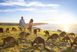 Australie - Australie du Sud - Kangaroo Island
