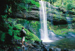 Australie - Tasmanie - Russel Falls © Tourism Tasmania