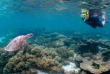 Australie - Western Australia - Coral Bay - Croisière sur Ningaloo Reef