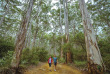 Autotour - Western Australia - Autotour Plages, vignobles et forêts © Tourism Western Australia
