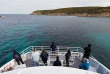 Australie - Western Australia - Dunsborough - Naturaliste Charters - Croisière observation des baleines