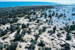 Australie - Shark Bay - Excursion Hamelin Pool Stromatolites - Wula Gura Nyinda Eco Adventure
