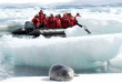 Croisières PONANT - Antarctique - Noël et Jour de l'An en Terres Australes © Studio Ponant