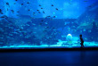Singapour – Sentosa S.E.A Aquarium © Marklin Ang – STB2015