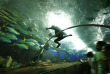 Singapour – Sentosa S.E.A Aquarium