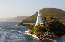Australie - Tasmanie - Strahan - Gordon River cruises - The Pillinger Explorer