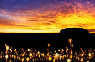 Field Of Light Au Lever Du Soleil Excursion Ayers Rock