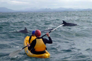 Australie - Byron Bay - Excursion en kayak dans la réserve marine de Byron Bay