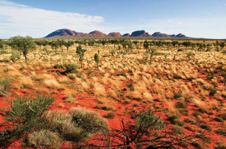 Australie - Territoire du Nord - Kata Tjuta © AAT Kings