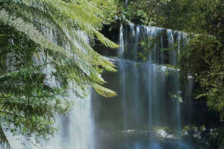 Australie - Tasmanie - Premier Travel Tasmania - Excursion Wilderness & Wildlife