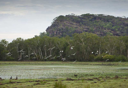 Australie - Northern Territory - Safari Kakadu, Jim Jim Falls, Litchfield National Park © Peter Eve
