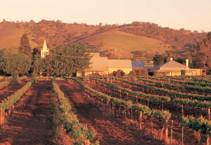 Australie - Circuit La routes des vins australiens - Barossa Valley © SATC