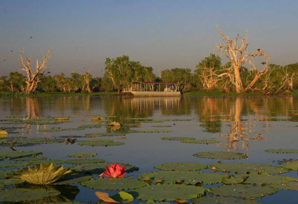 Australie - Darwin - Mary River - Corroboree Billabong Wetlands Cruises 