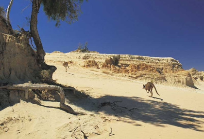 Australie - Mungo National Park - Walls of China Excursion guidée