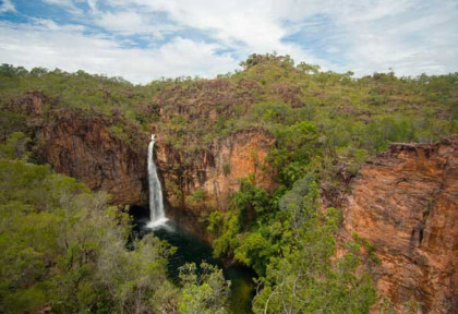 Australie - Northern Territory - excursion au parc national du Litchield