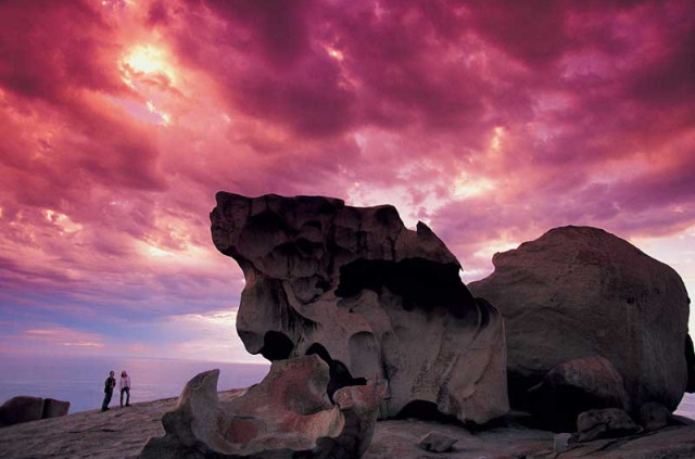 Australie - Circuit Australie spectaculaire - Kangaroo Island  © SATC