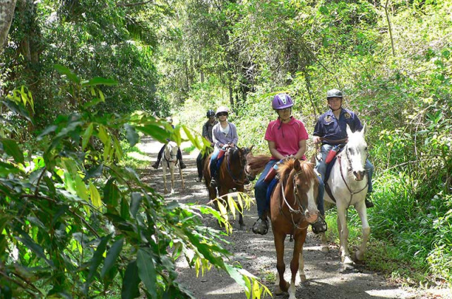 Australie - Queensland - Randonnée à cheval dans la Mary Valley