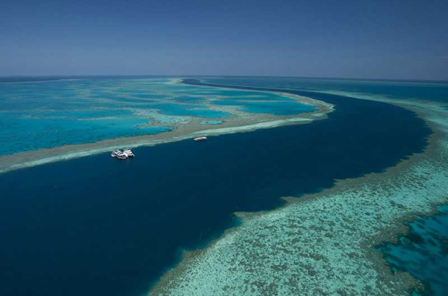 Australie - Whitsundays - Croisière sur la Grande Barrière de Corail