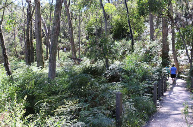Australie - Adelaide - PureSa Tours - Randonnée au Cleland Conservation Park