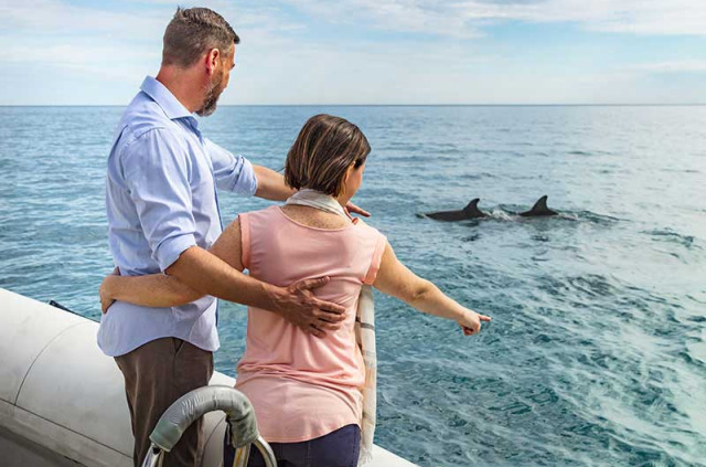Australie - South Australia - Kangaroo island - KI Ocean Safari - croisière Nage avec les dauphins
