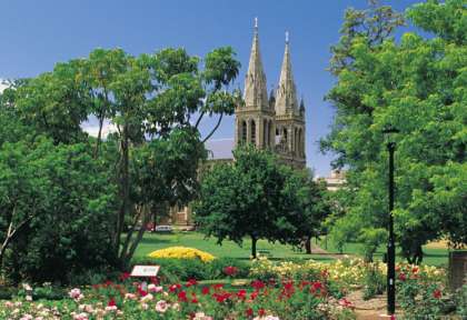 Rose Gardens - Adelaide