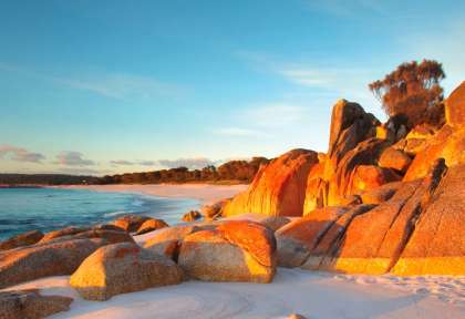 Tasmanie, Bay of Fires