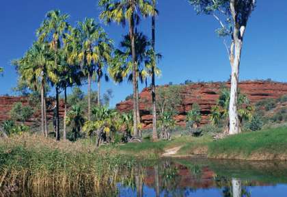 Centre Rouge - Palm Valley