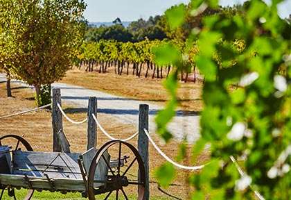 Perth - Lancaster Wines, Swan Valley