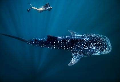 Western Australia - Coral Bay, Ningaloo