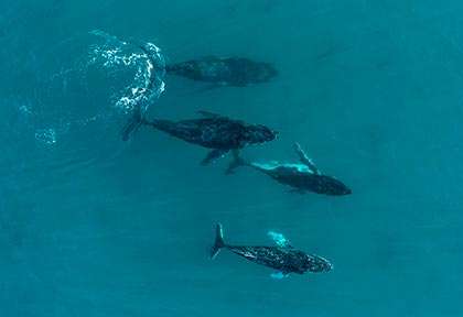 Western Australia - Margaret River, Dunsborough