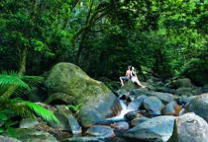Mossman Gorge