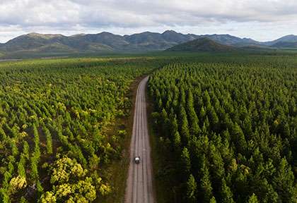 Byfield National Park