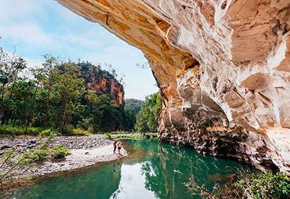 Carnarvon Gorge