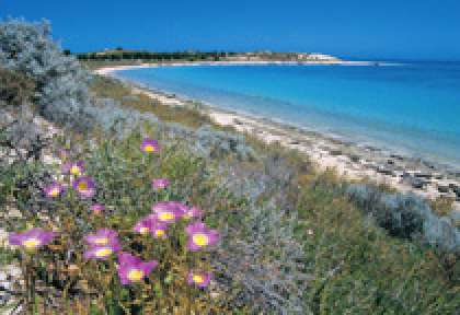 Ningaloo Marine Park Coral Bay