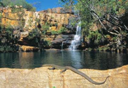 Kimberley Galvans Gorge